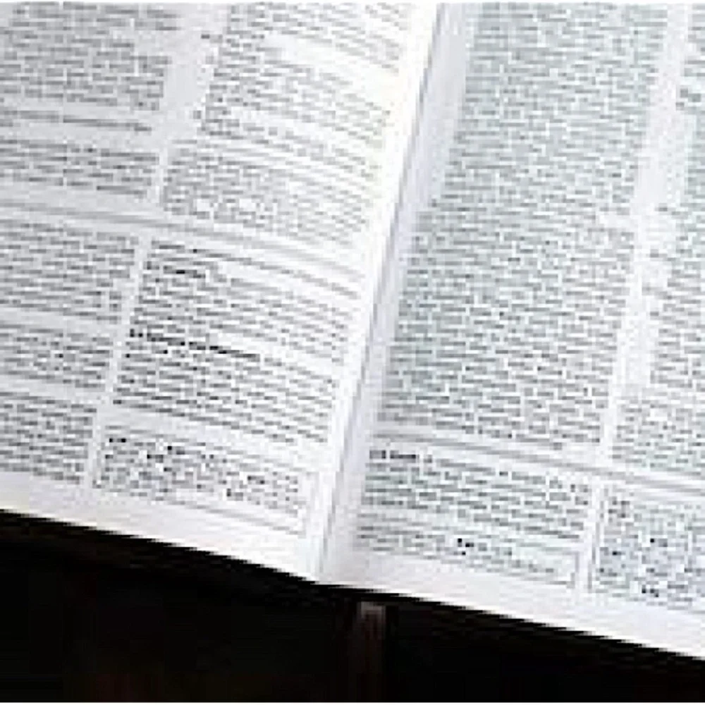 NIV Foundation Study Bible, Leathersoft, Brown, Red Letter NIB